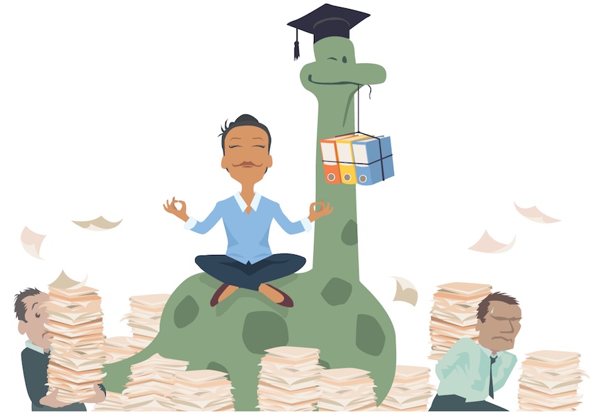 Diplonova.com - Piloter