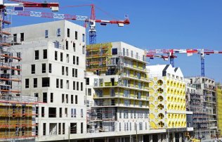 Vocabulaire et pathologie de la construction