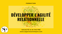 Développer l'agilité relationnelle - mieux se connaître pour mieux communiquer professionnellement