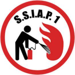 AGENT SERVICE SECURITE INCENDIE A PERSONNE DE DEGRE 1