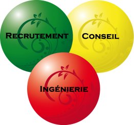 Bilan de Compétence