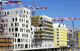Vocabulaire et pathologie de la construction