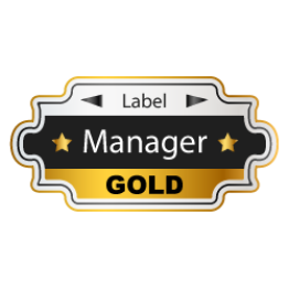 Manager Senior - niveau 2