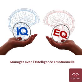 Manager avec l'Intelligence Emotionnelle