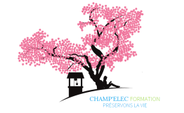 Sauveteur Secouriste de Travail - Initiale